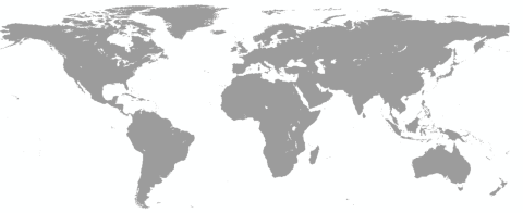 Grey world map